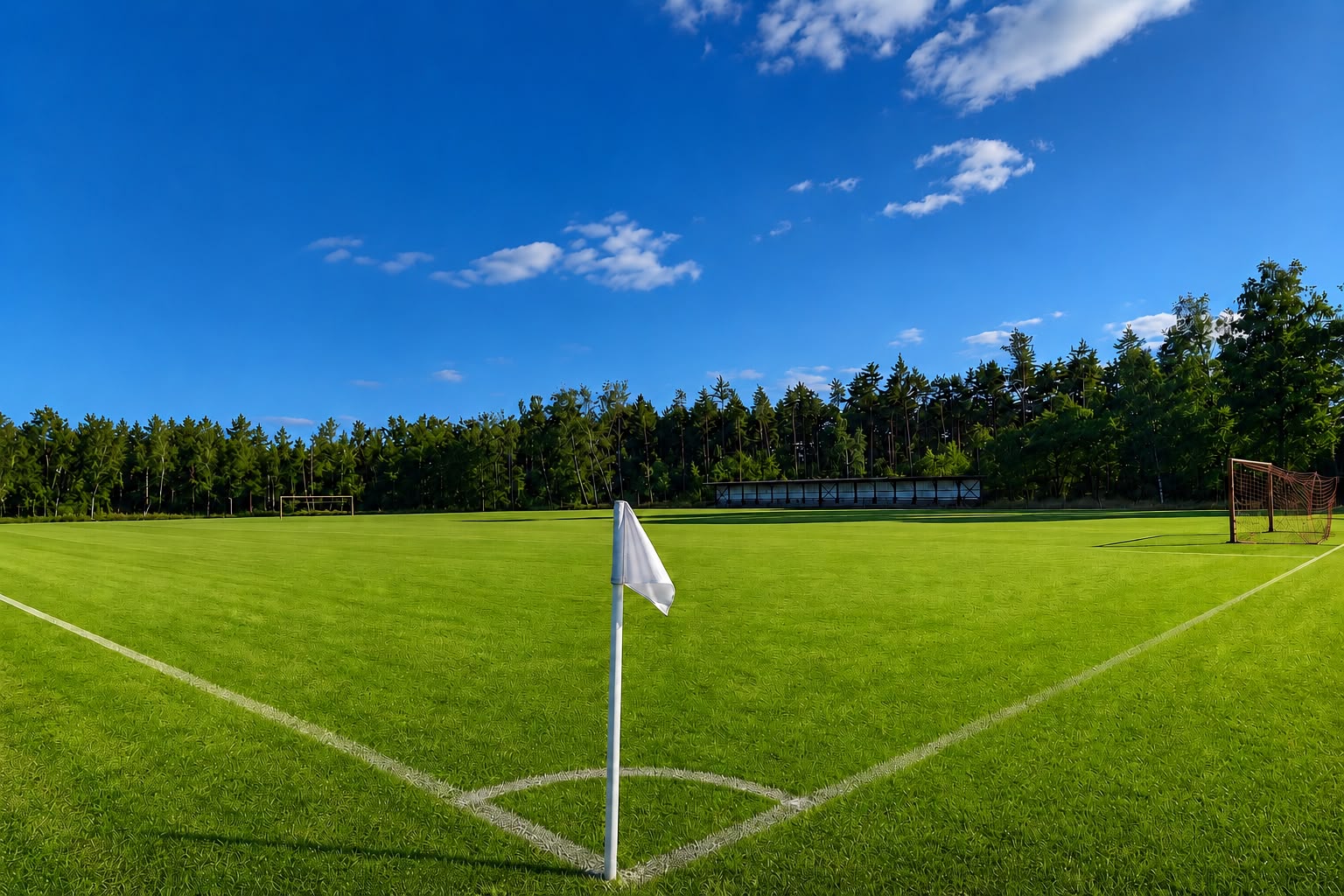 Fußballspielfeld mit Eckfahne und Tor